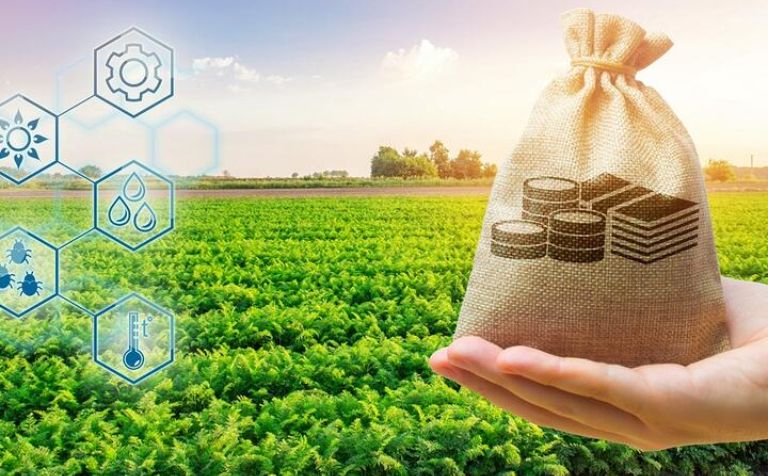 Financial Resilience & Cost Control (Oracle ERP Cloud)