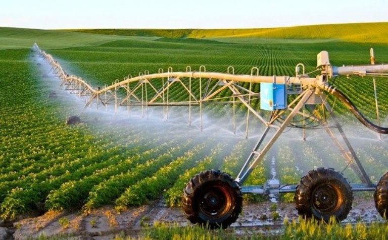 Workforce & Safety Modernization (Oracle Cloud HCM)